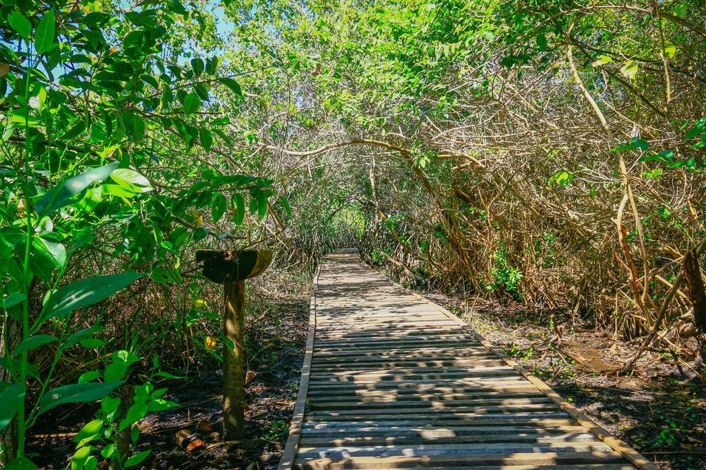 Pousada Ecologica Bangalo De Praia Itacimirim Kamer foto